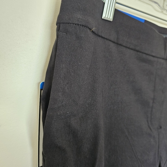 Elevate Your Style with These Hilary Radley Pull-On Pants! Size Large. New - Picture 5 of 11